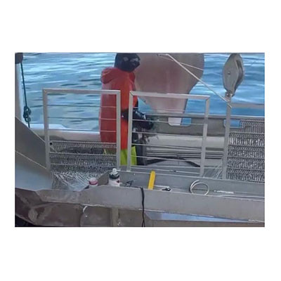 Magasiner for lagring av forsyn